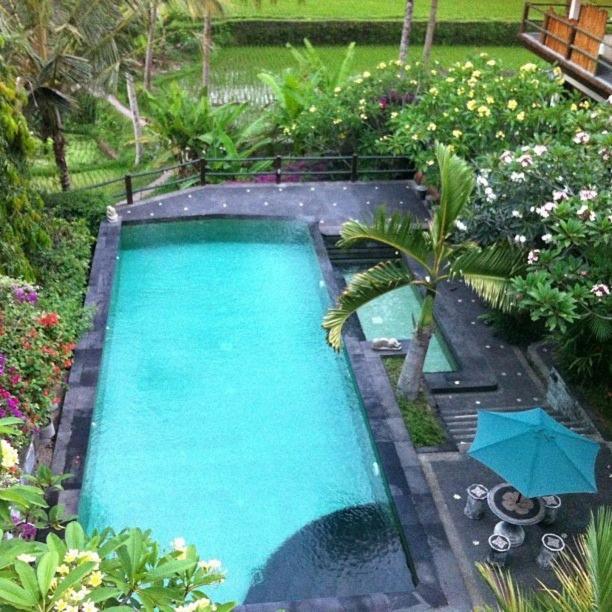 Toko Toko Bungalows 1