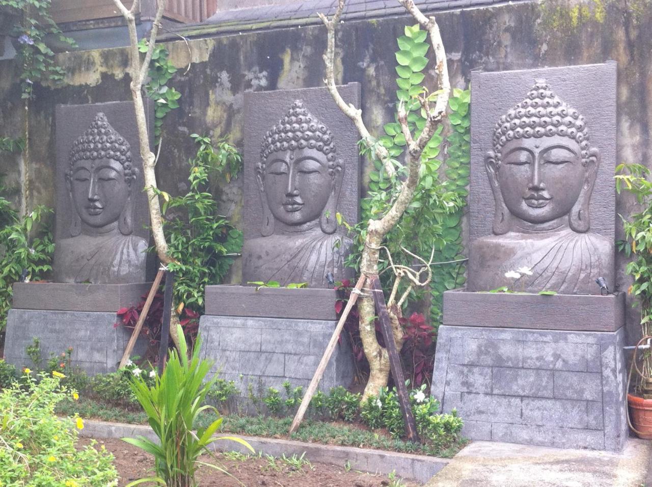Toko Toko Bungalows 2