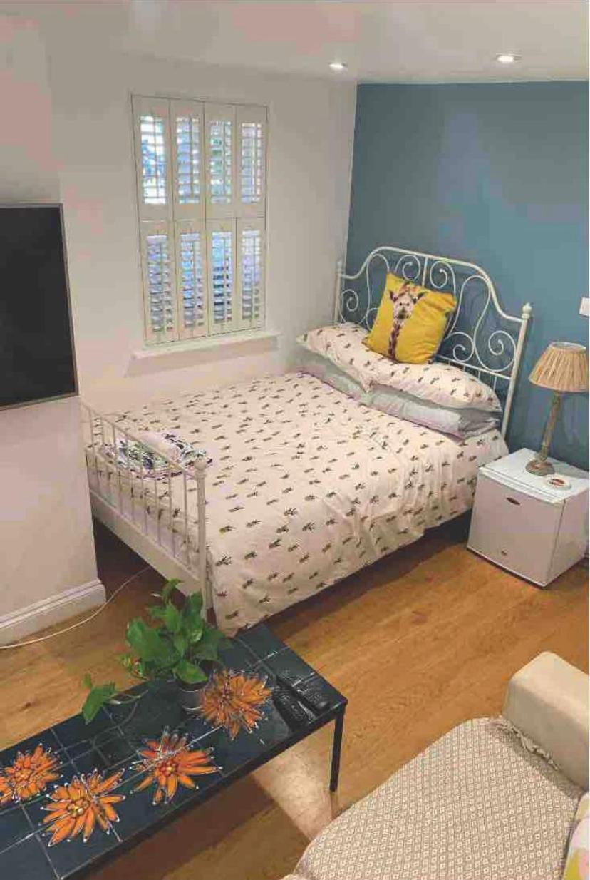 Stylish Modern Studio, Mock Georgian House, Heart of Trendy Hackney & London (Adults Only)