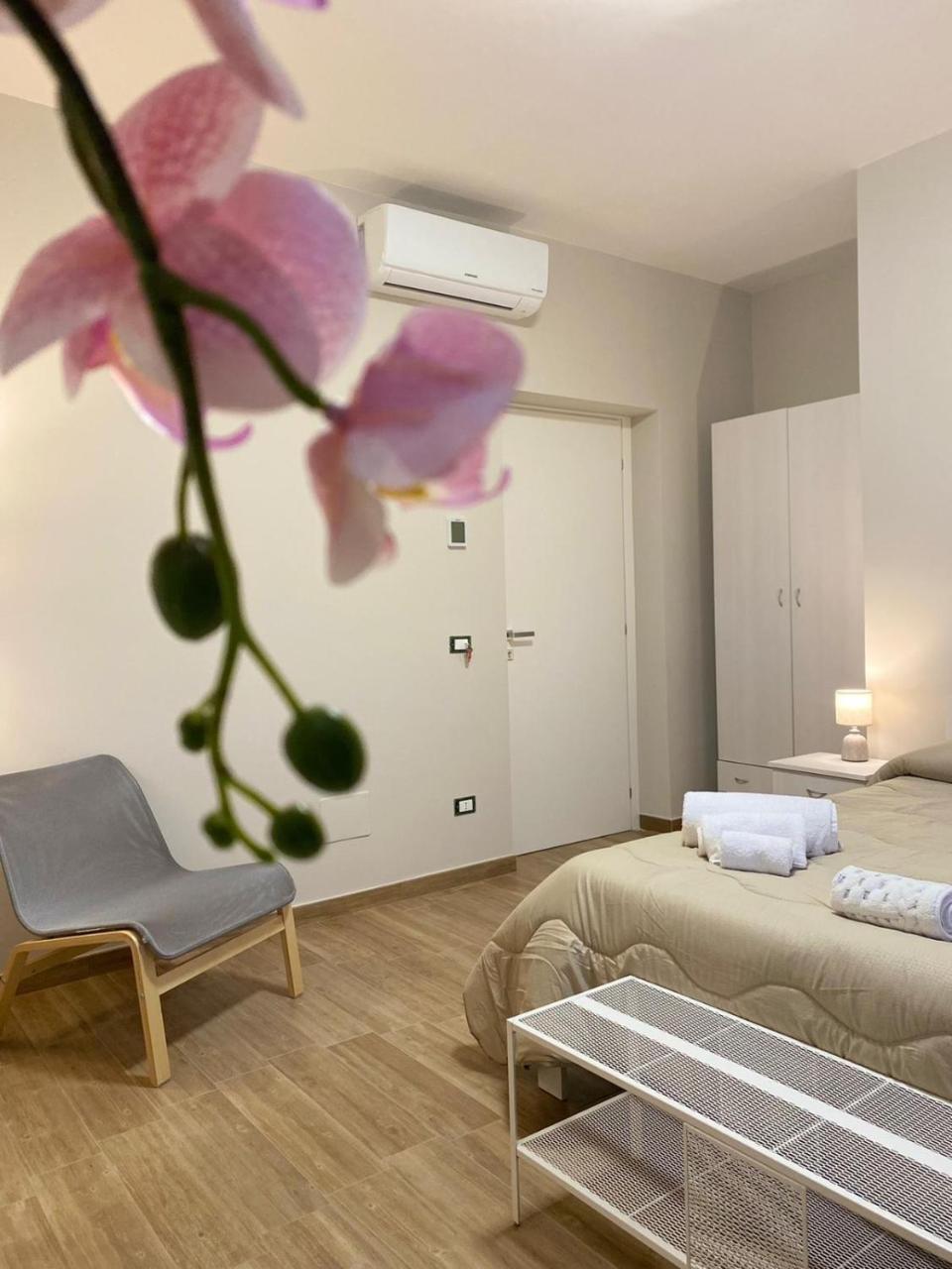 B&B Ercole 1