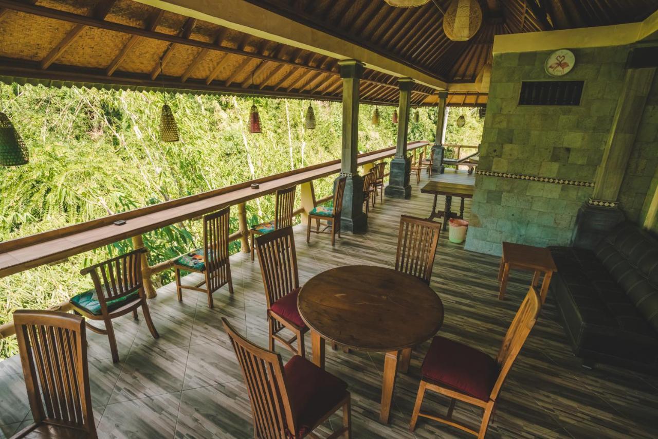Ww Backpackers (Adults Only) 1