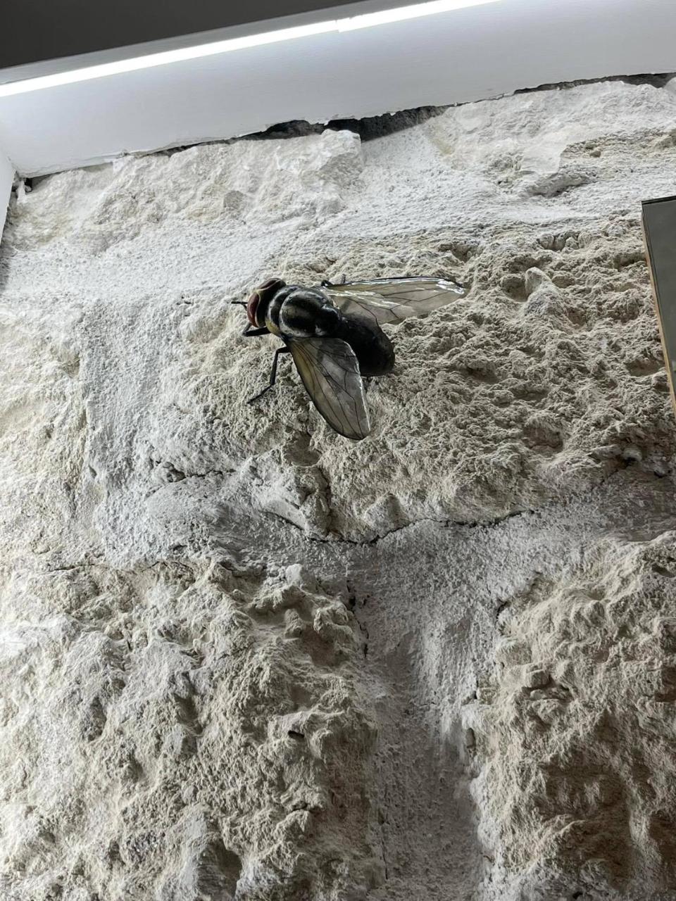 I Bastioni Apartment 2