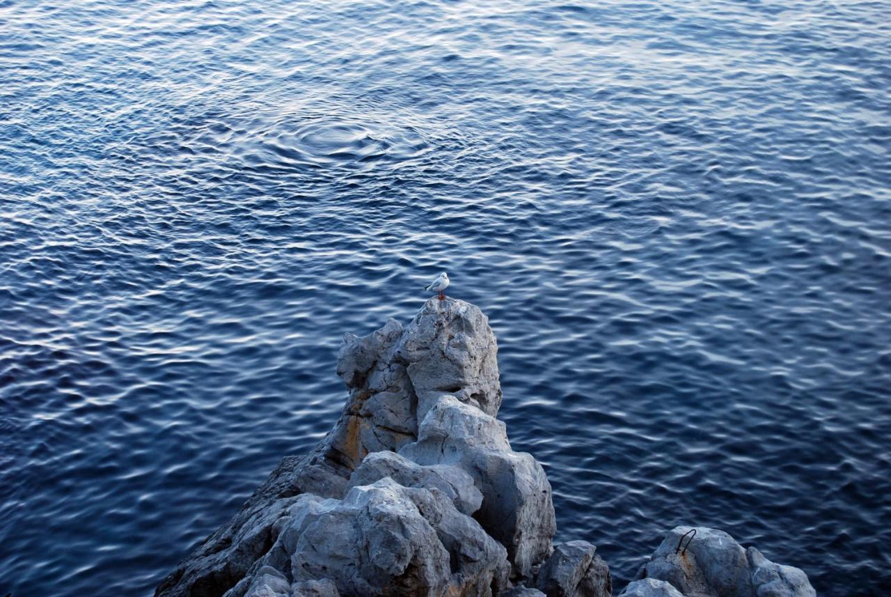 Casalmare (Adults Only) 1