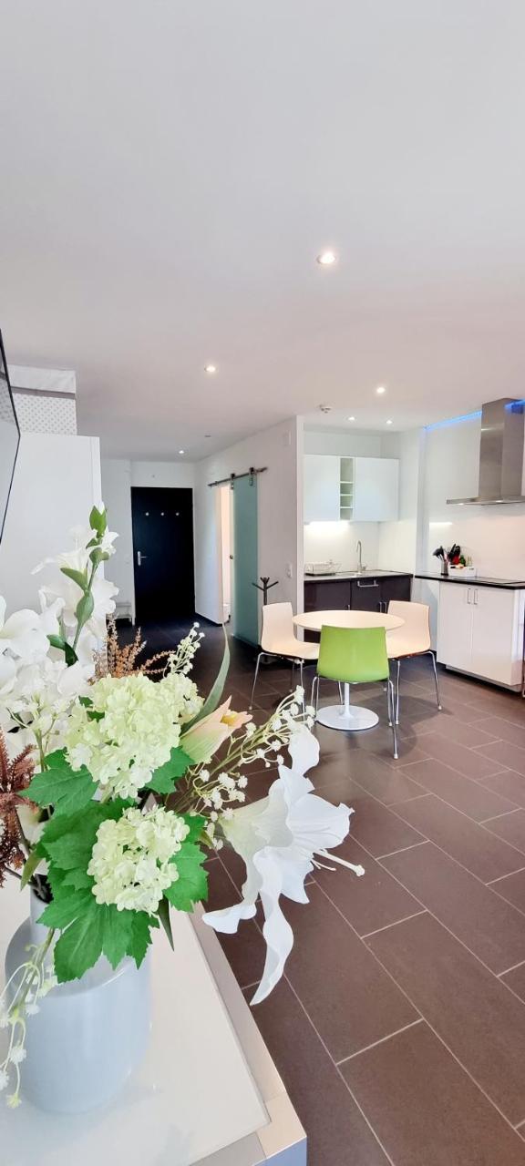 Bissone Apartment 1