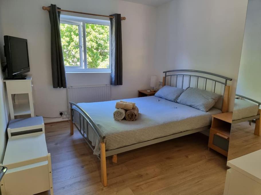 Bethnal Green/Brick Lane 2 Bedroom Apartment 1