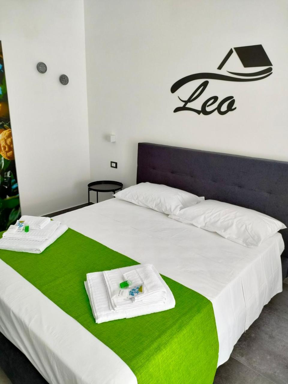 B&B Leo