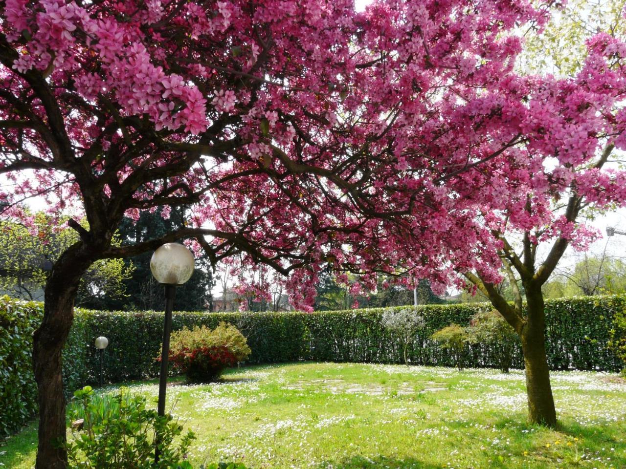 In Giardino B&B (Adults Only)