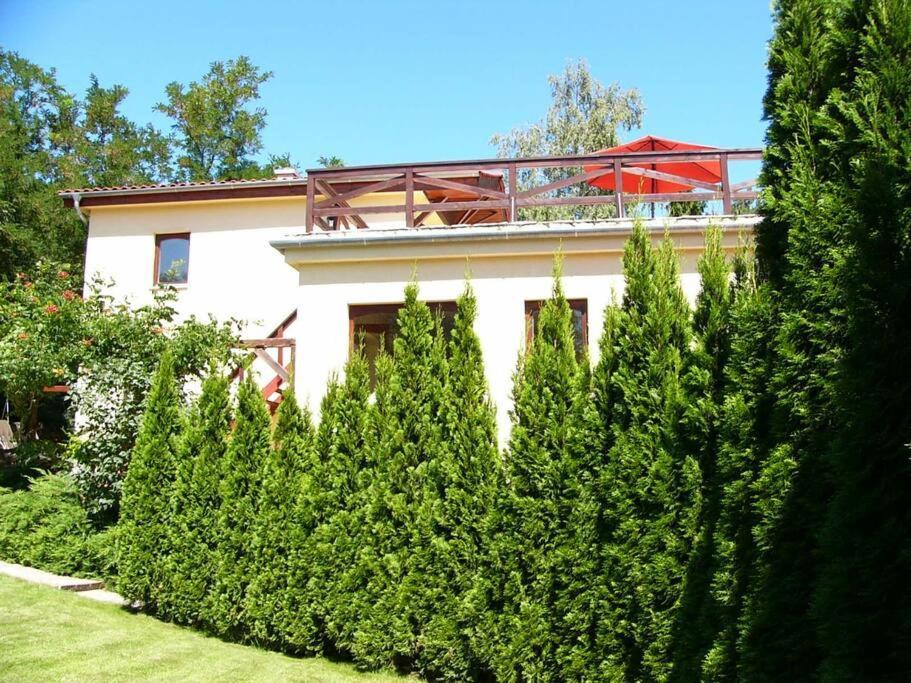 Vacation Home Near Budapest, Ideal for Hungaroring