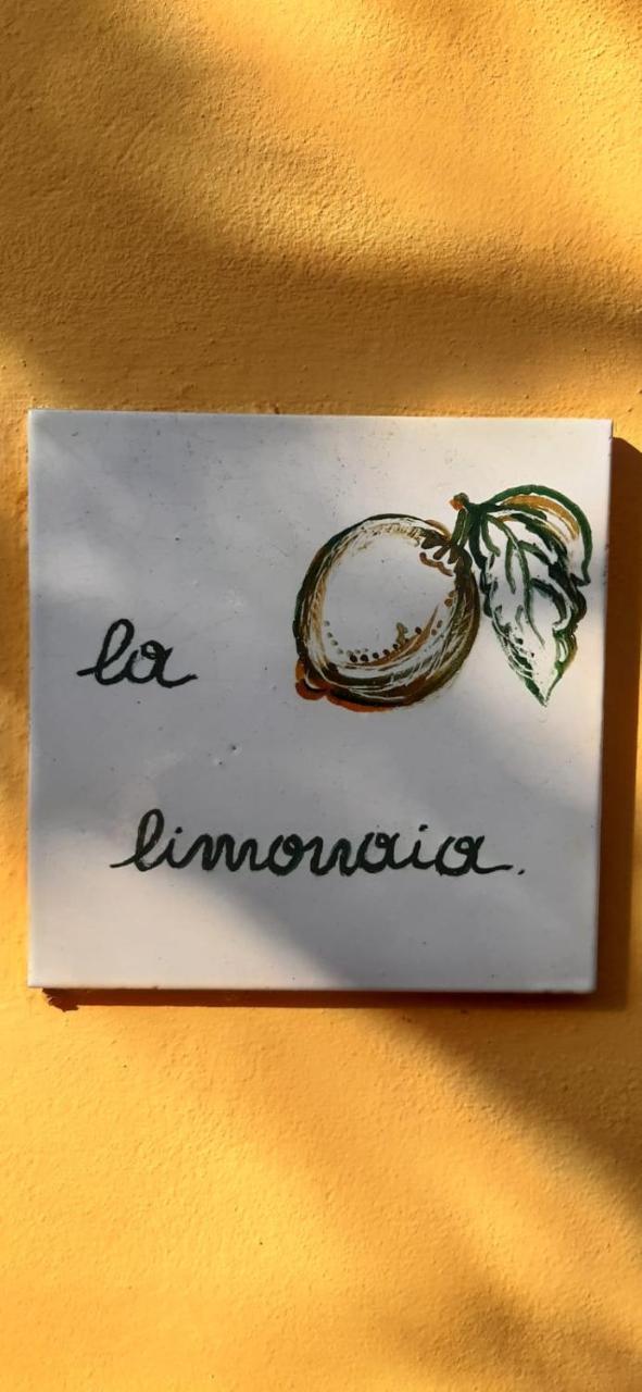La Limonaia 2