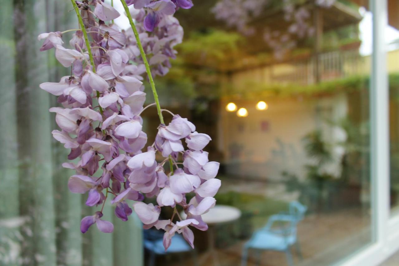 Loft Sottolalbero
