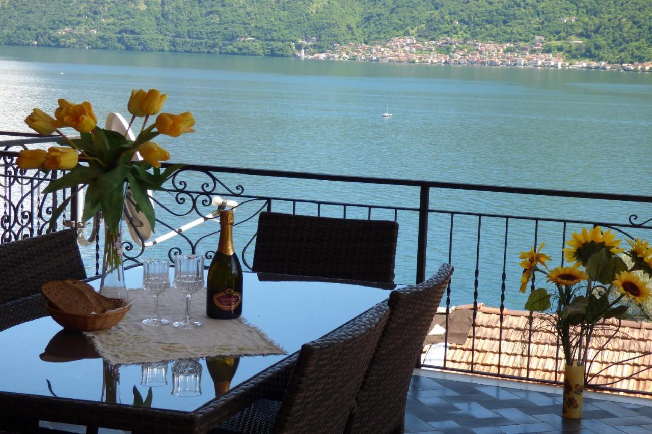 Isola Vista - Terrazzo 1