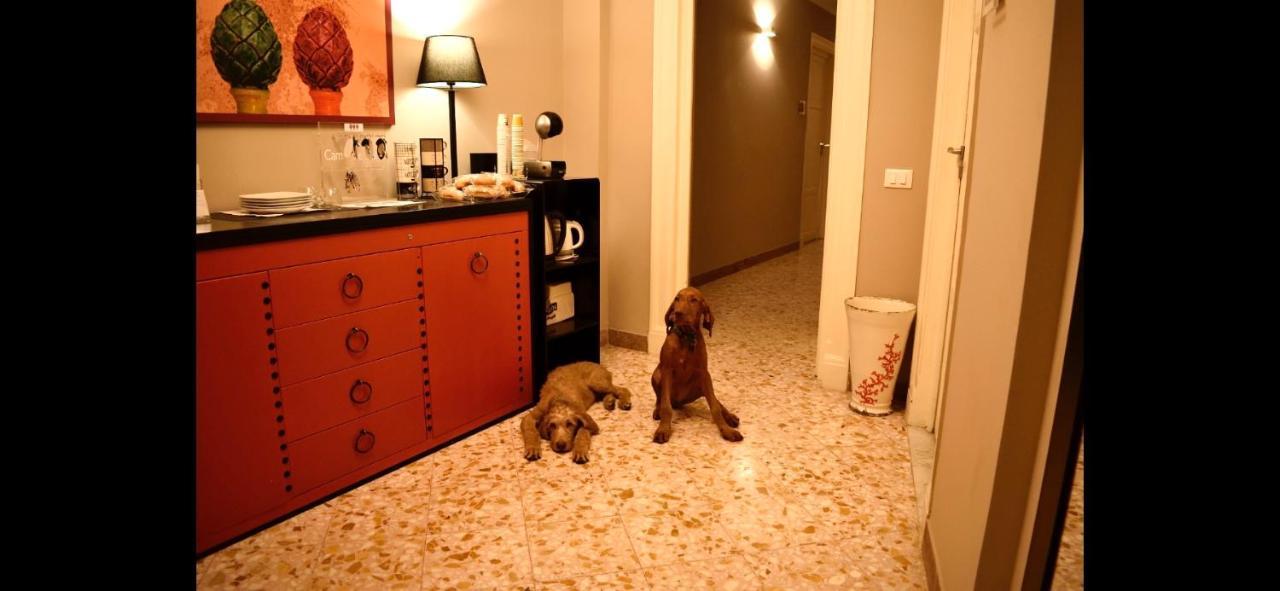 Due Cani 1