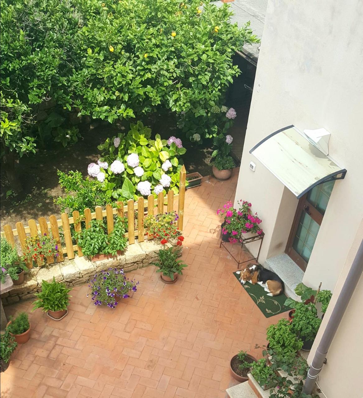 Il Cortile di Dea (Adults Only)