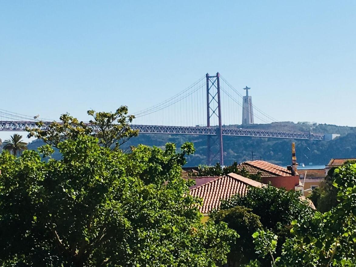 Belem Aloja 1