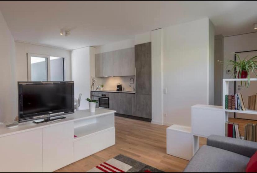 5 Rent Apartments Lugano Station 2