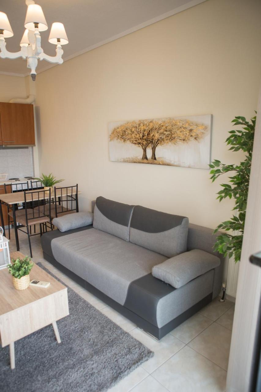 Kosmos Service Apartment Open View 1 1
