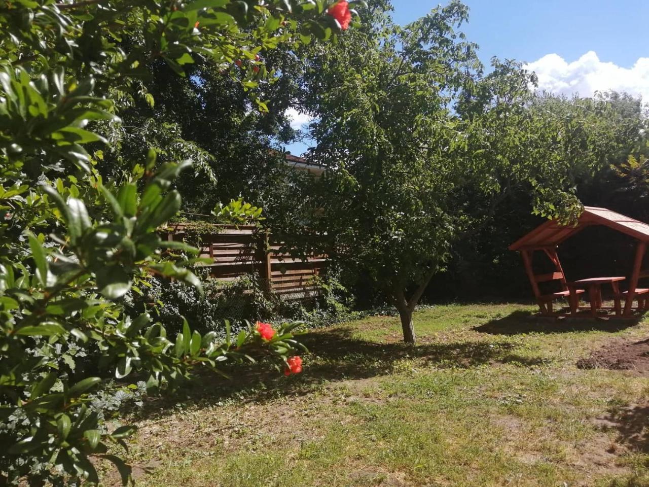 Rakos-Patak Family House