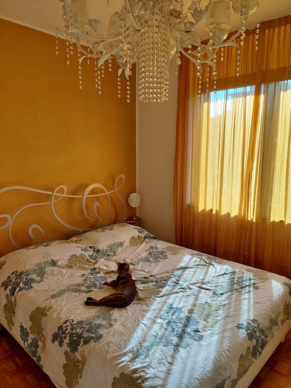Da Gianfi Lugano-Pregassona - Stanza Privata - Adults Only