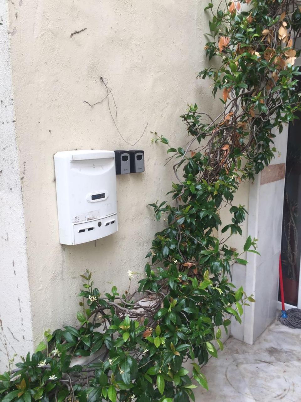 Xsoma Flats "Studio" 2
