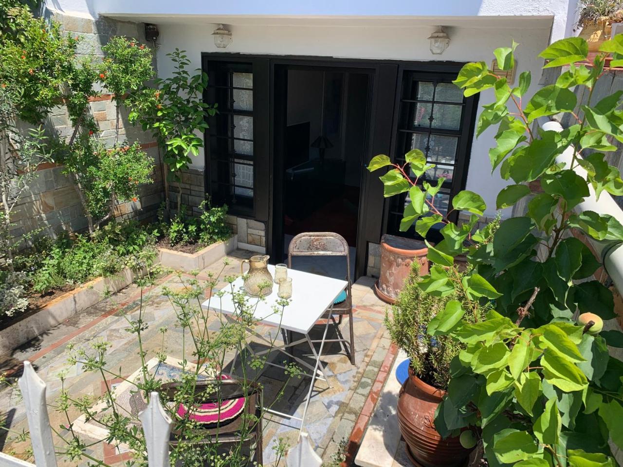 Gemutliches Appartement in Ano Poli 1