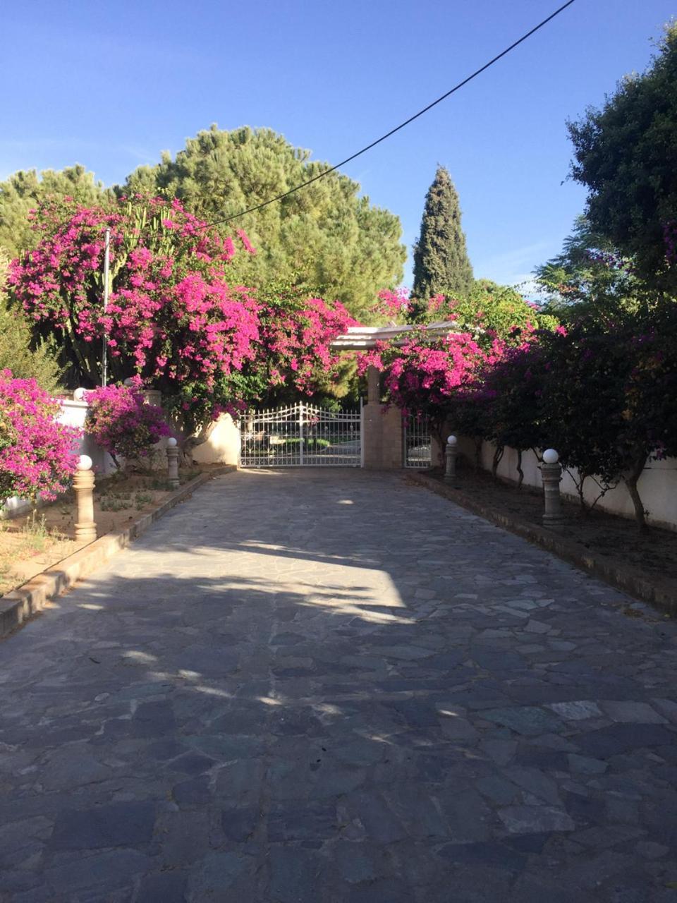 Nostrana Village Apartments 2