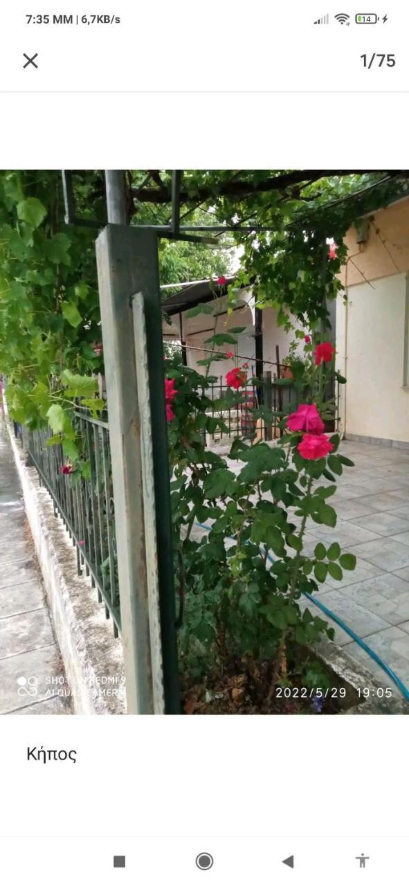 Kolhida Home