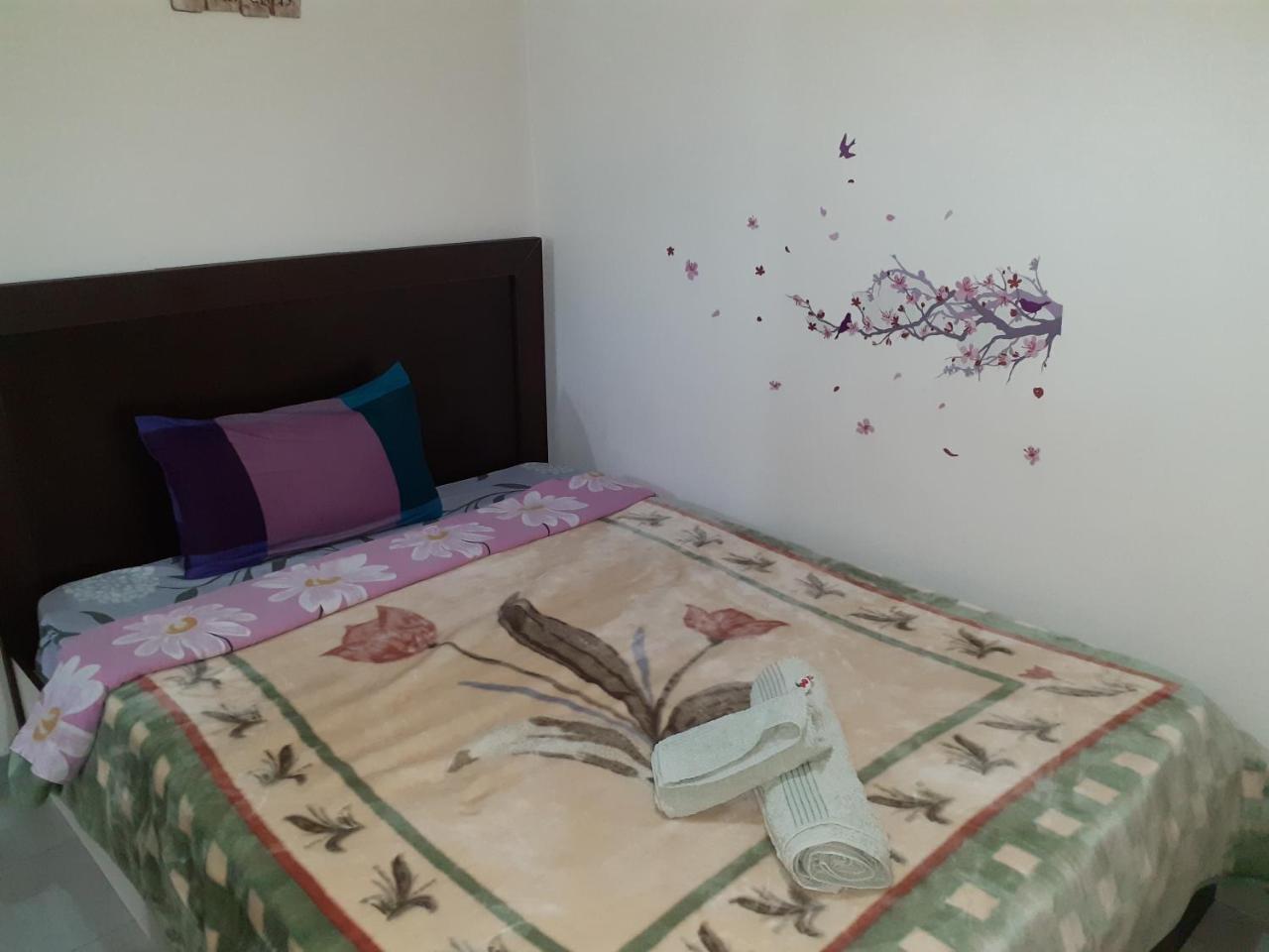 Kosta's Apartment 1 (Adults Only) 1