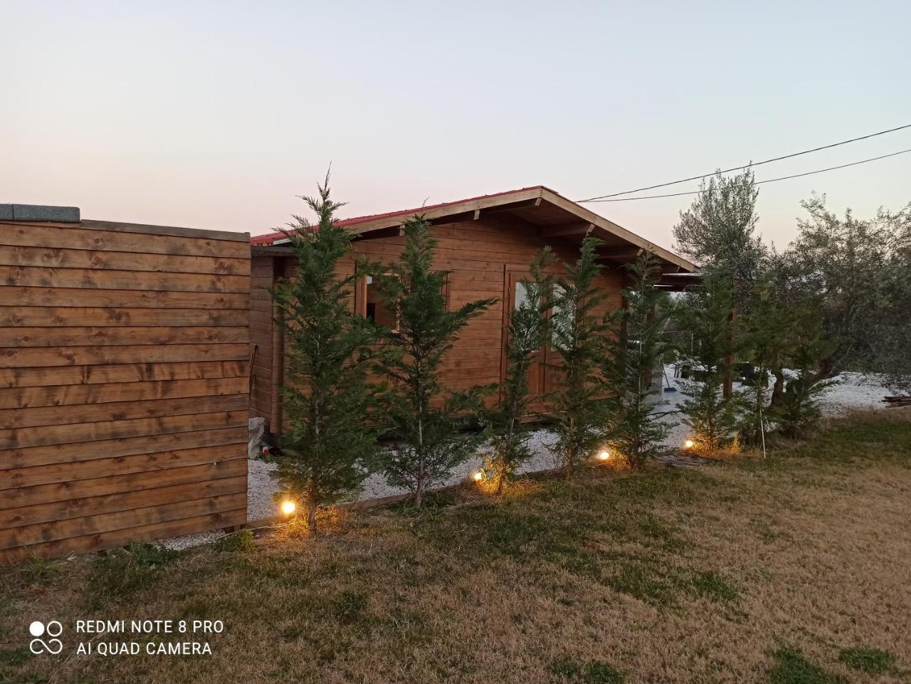 Luxury Wooden House