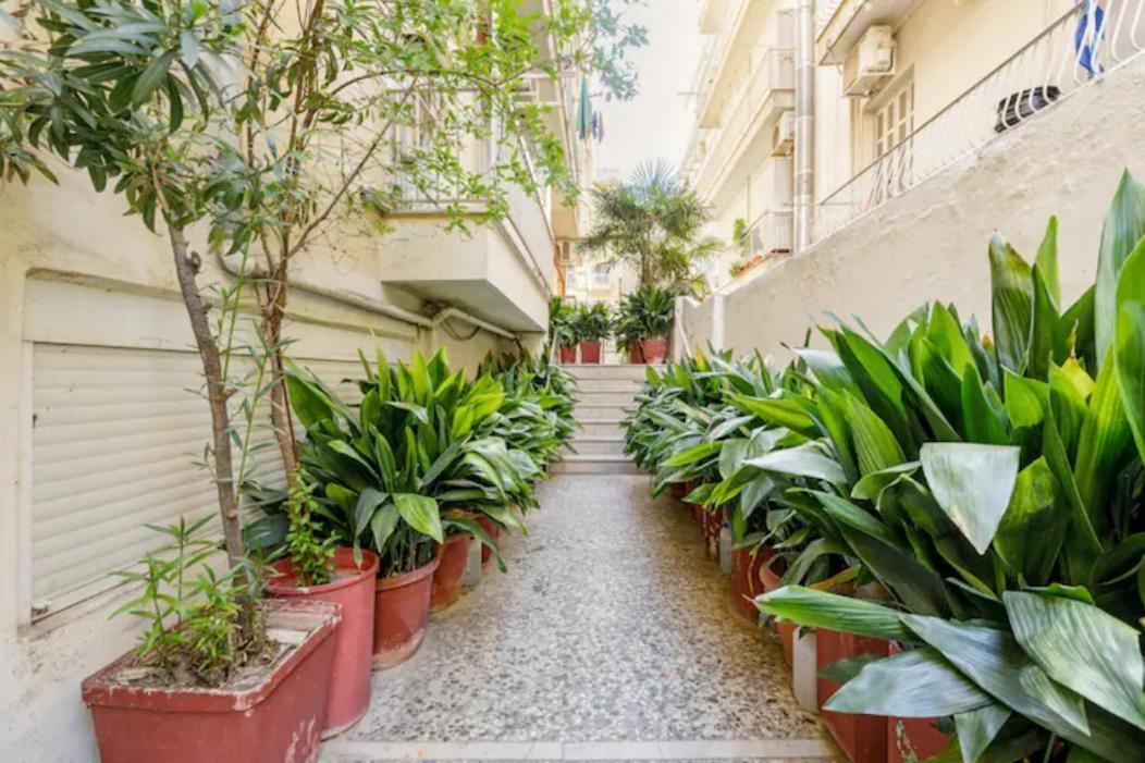 Lovely Small (Parterre) Apartment in Thessaloniki (Adults Only) 2
