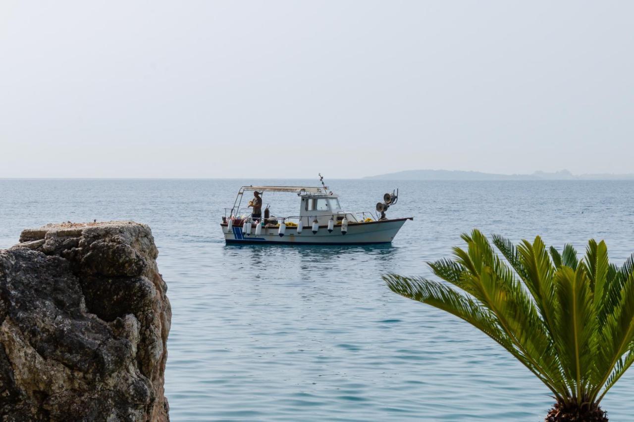 Beachfront & Infinity Pool Luxury Villa - Corfu