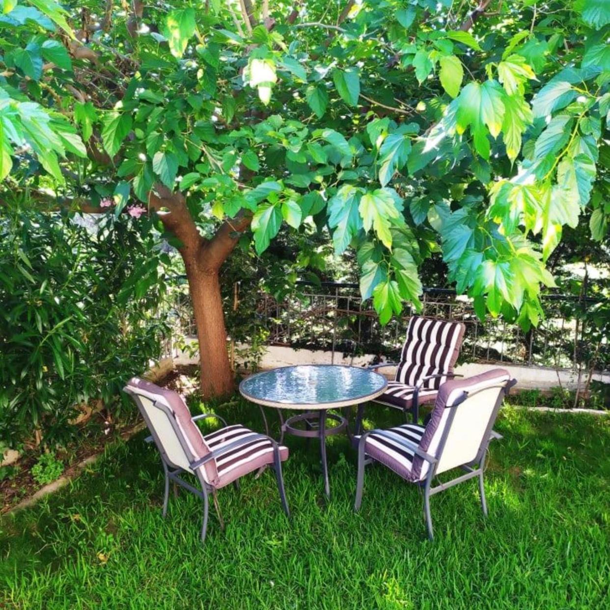 House with Garden Netflix