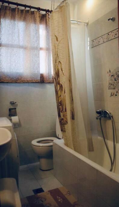 Valaoritou Apartment 1
