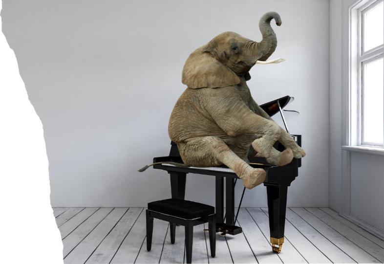 Elephant in My Room
