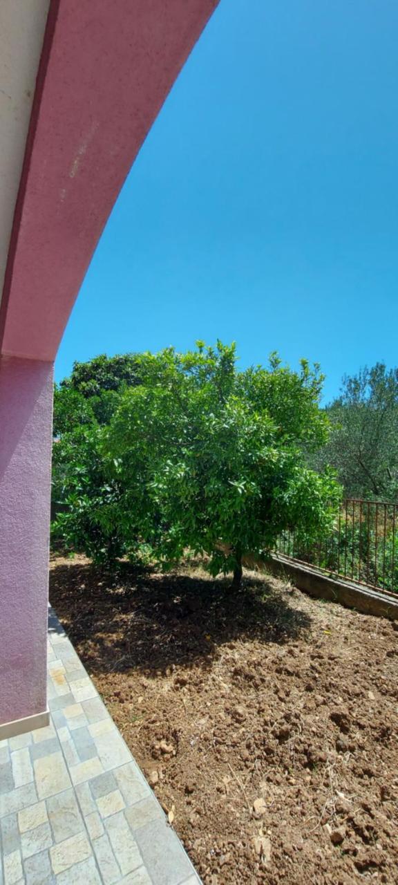 Apartments Pink 1