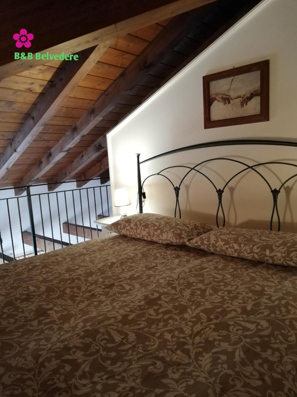 B&B Belvedere