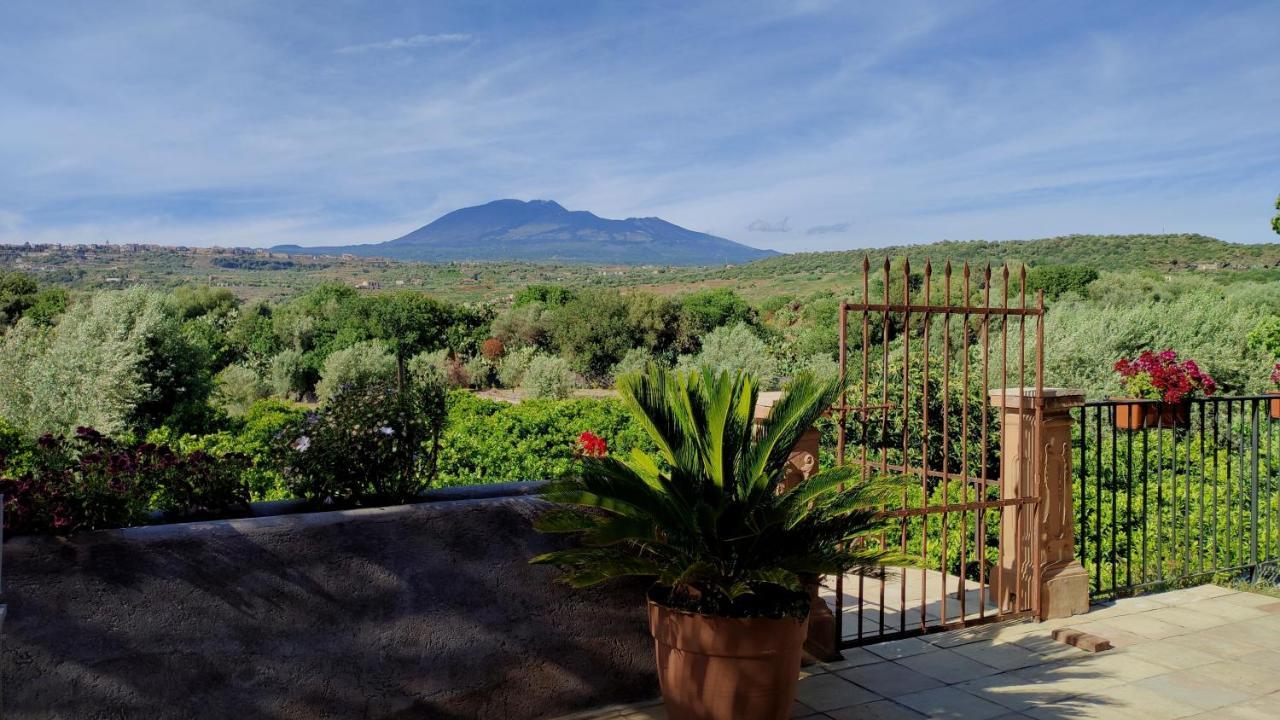 Lavica - Country Guest House 1