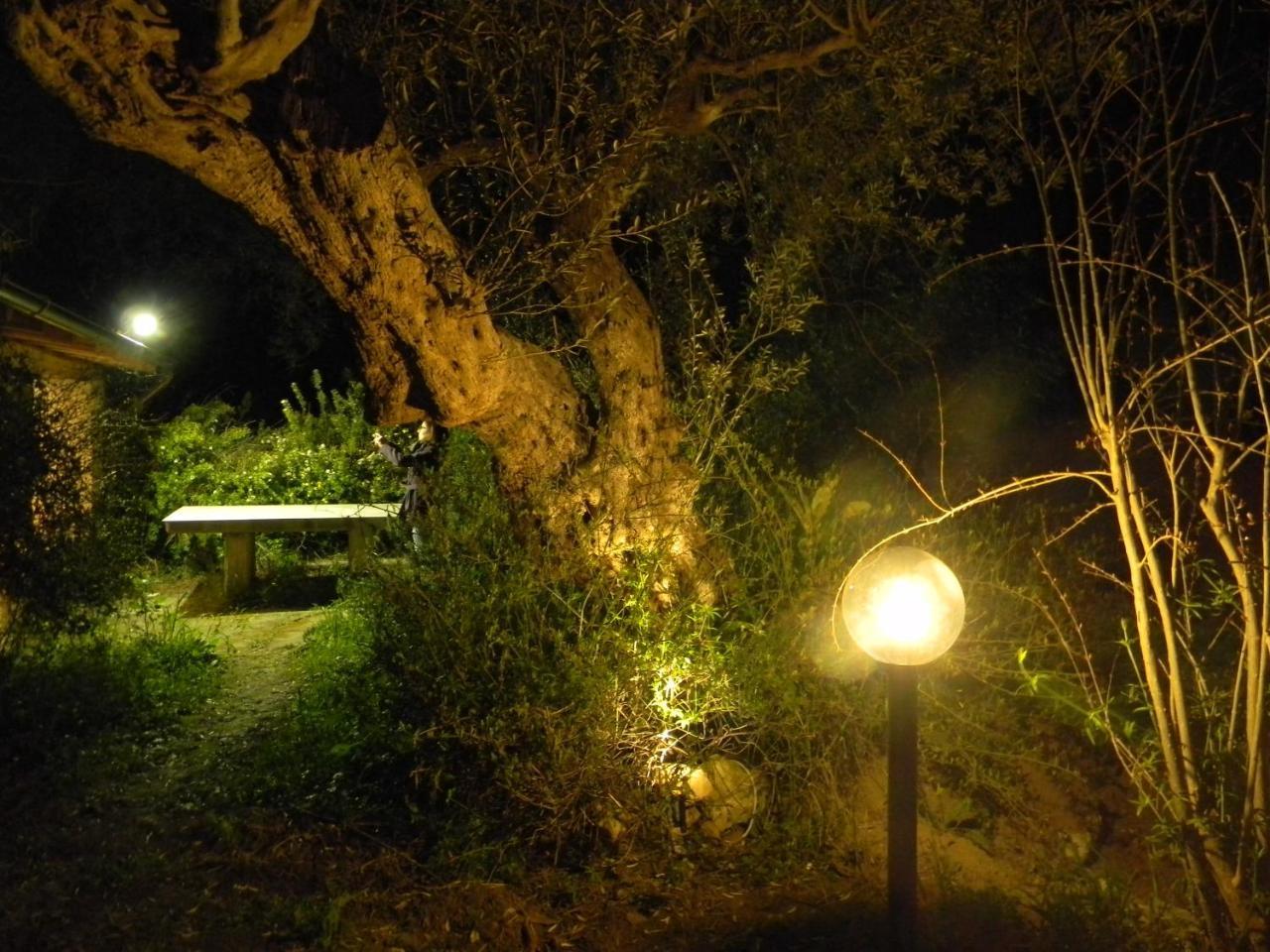 Nunziata 1