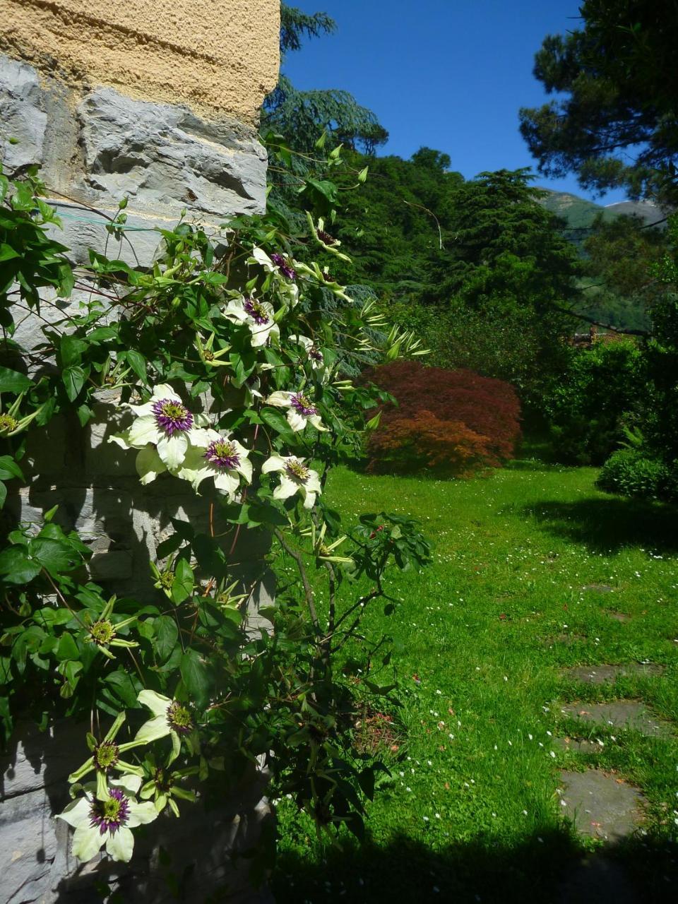 Casa Peroschi B&B (Adults Only) 1