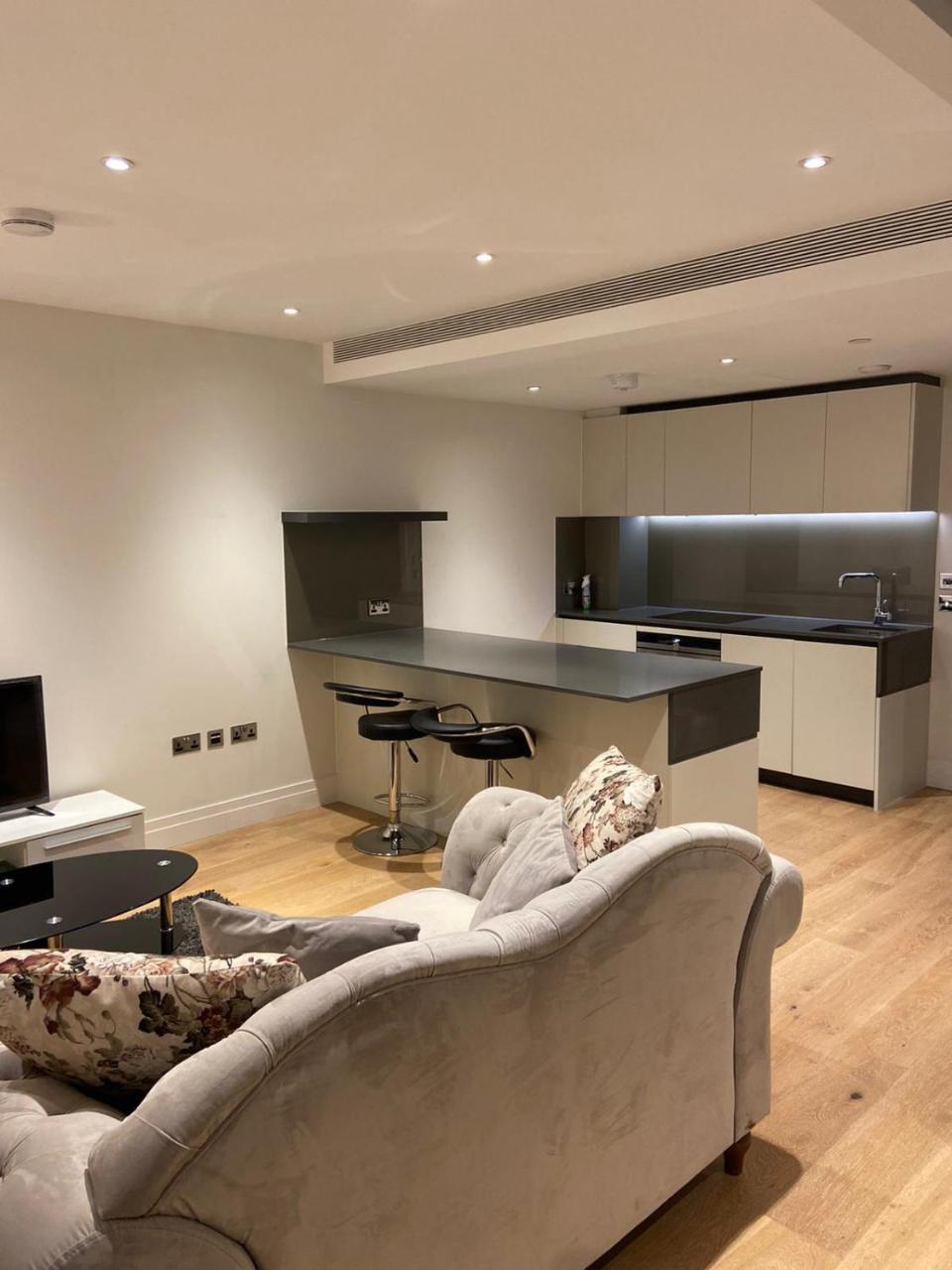 Studio Come 1 Bed Flat in Vauxhall Next To Battersea 1
