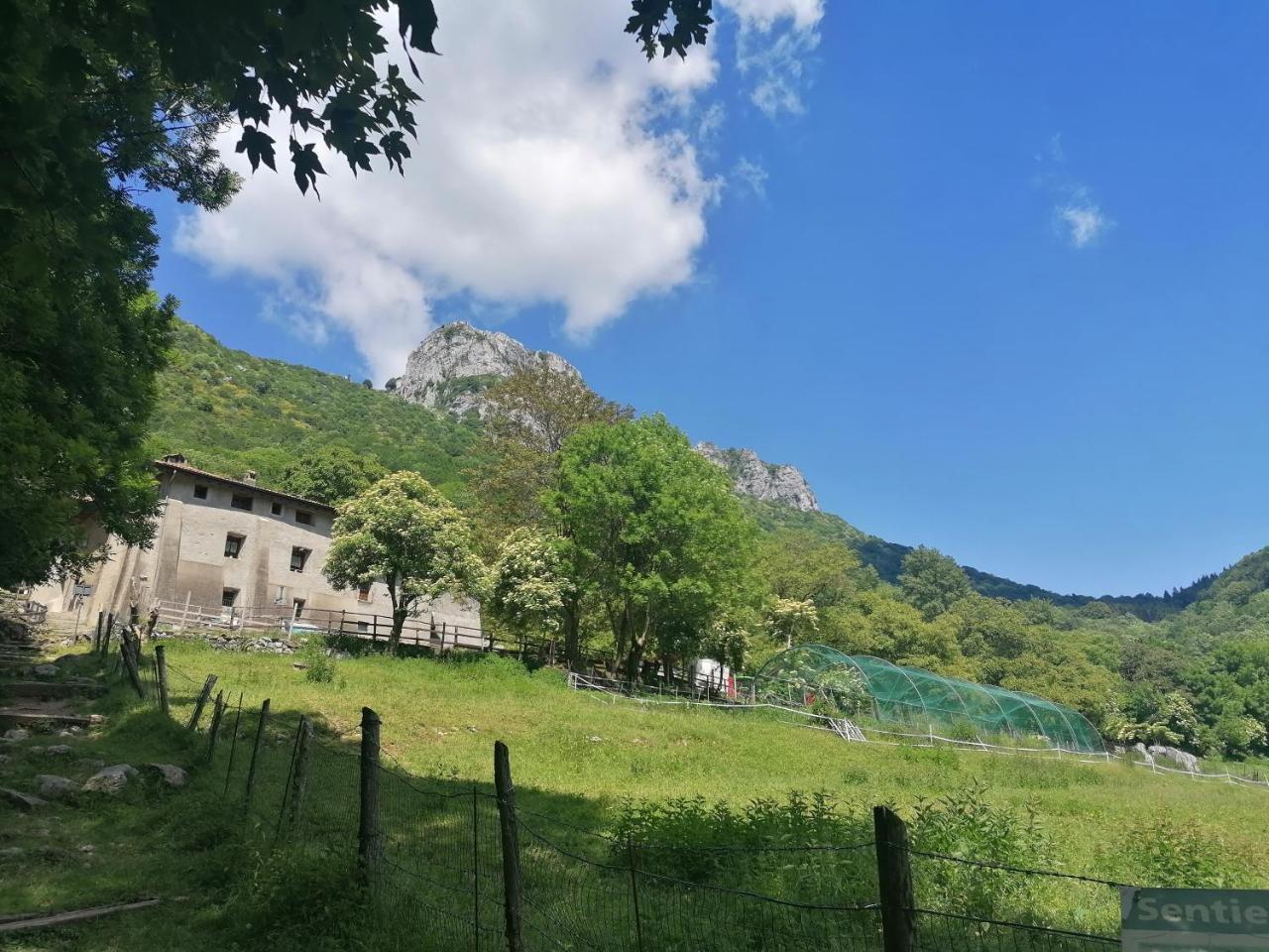 La Ruota Del Mulino 1