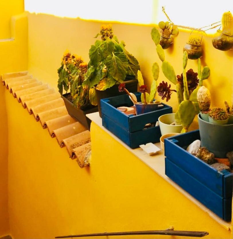 Casa Milo’ - Ortigia 1