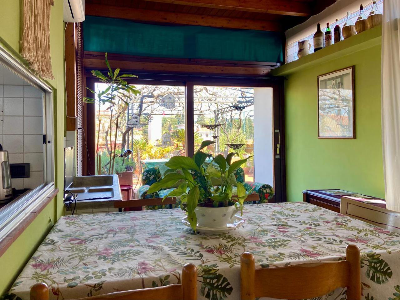 Il Giardino Sospeso di Anna 2