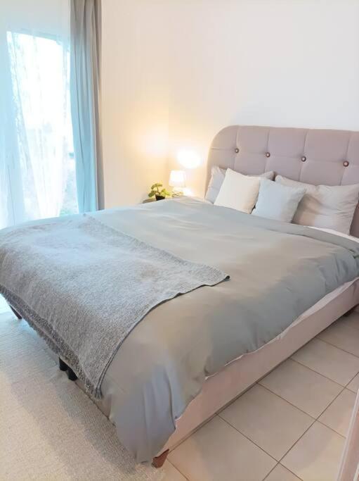 Comfy Cozy Iksia 1