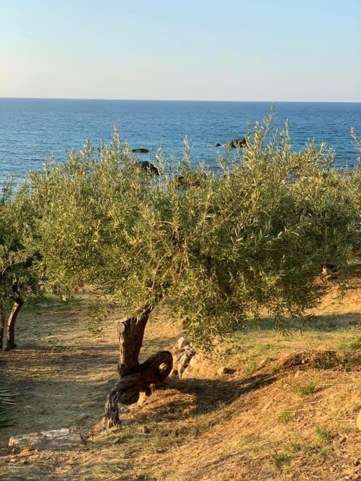 Ogliastro Sul Mare - Sleep And Dream 2
