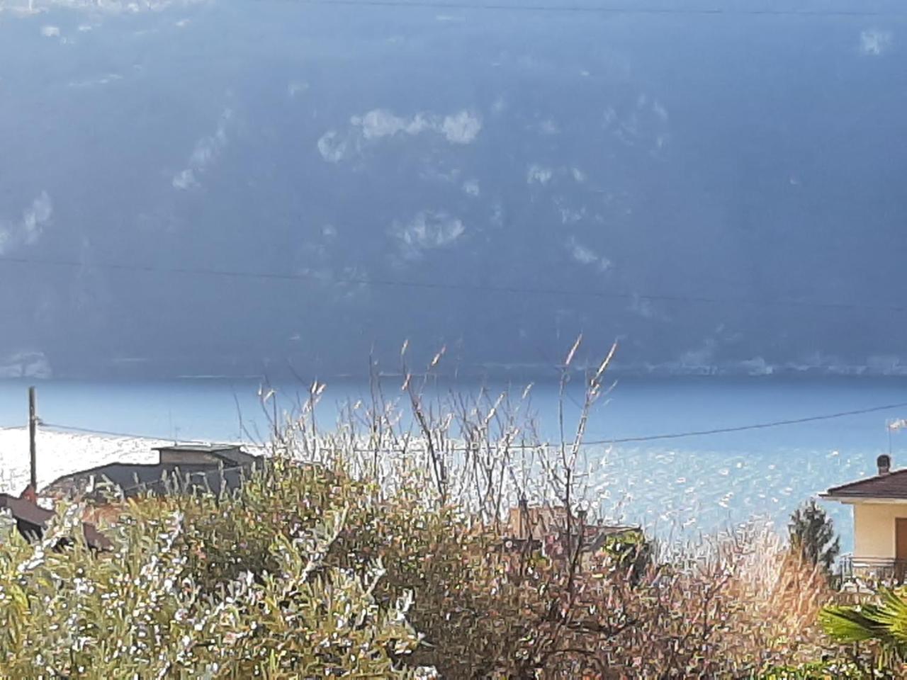 Apartment L'ulivo in Complete And Total Relaxation