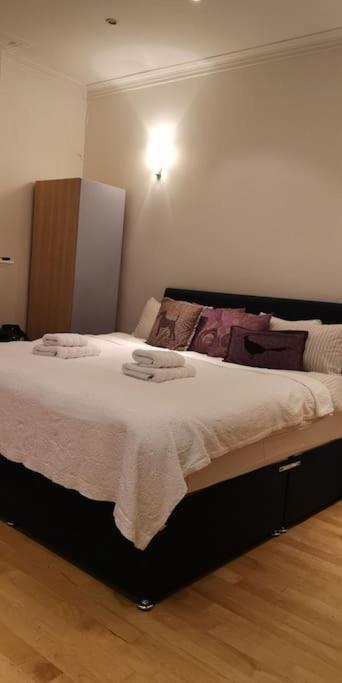 Very Quiet Studio Apartment in Hampstead - London 2