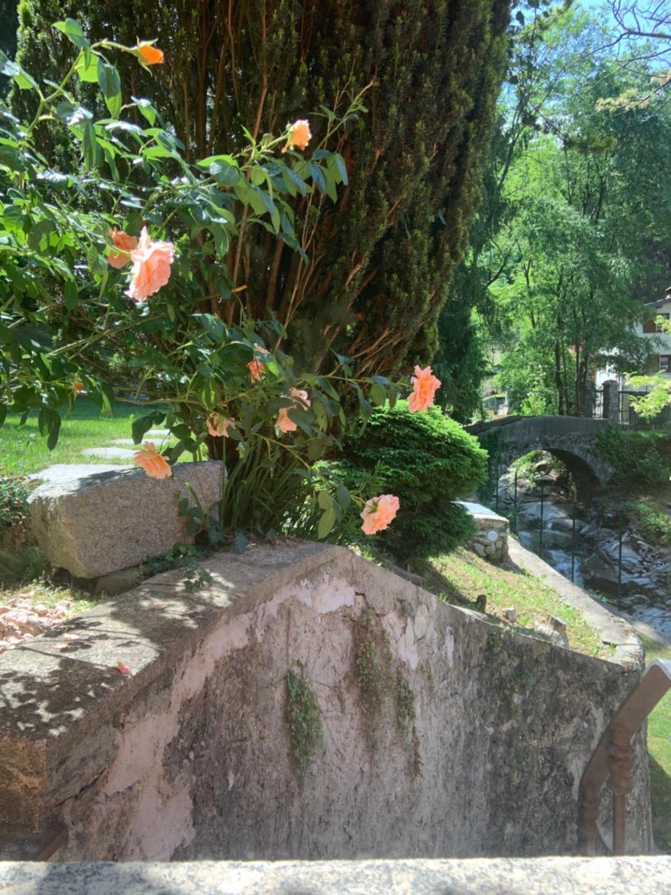 Il Mulino di Valeria 1