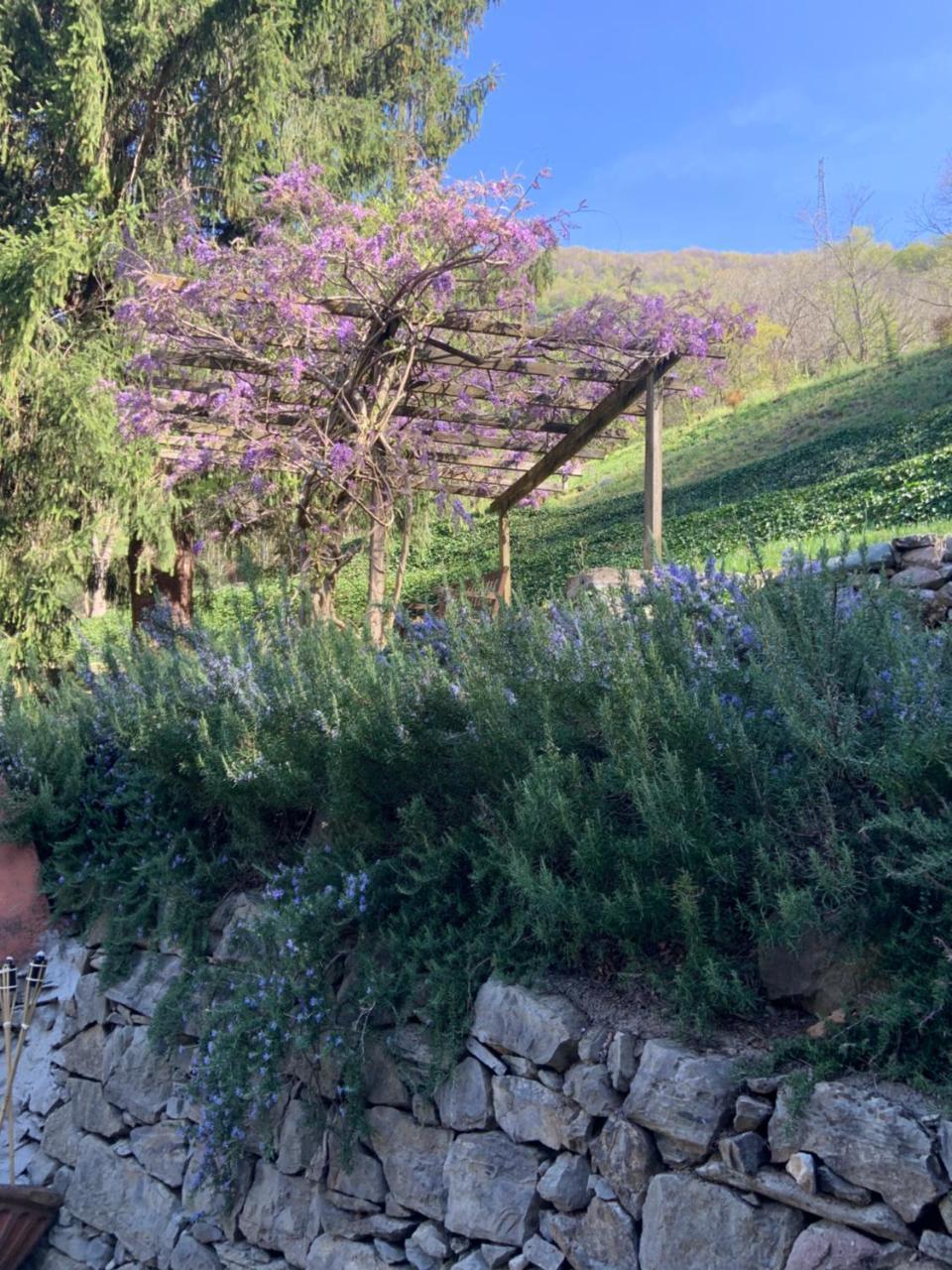 Il Mulino di Valeria 2
