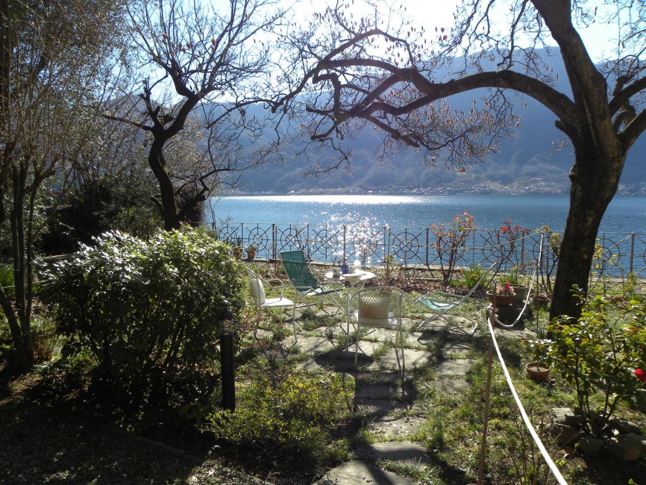 Island Garden - by Lovecomo (Adults Only)
