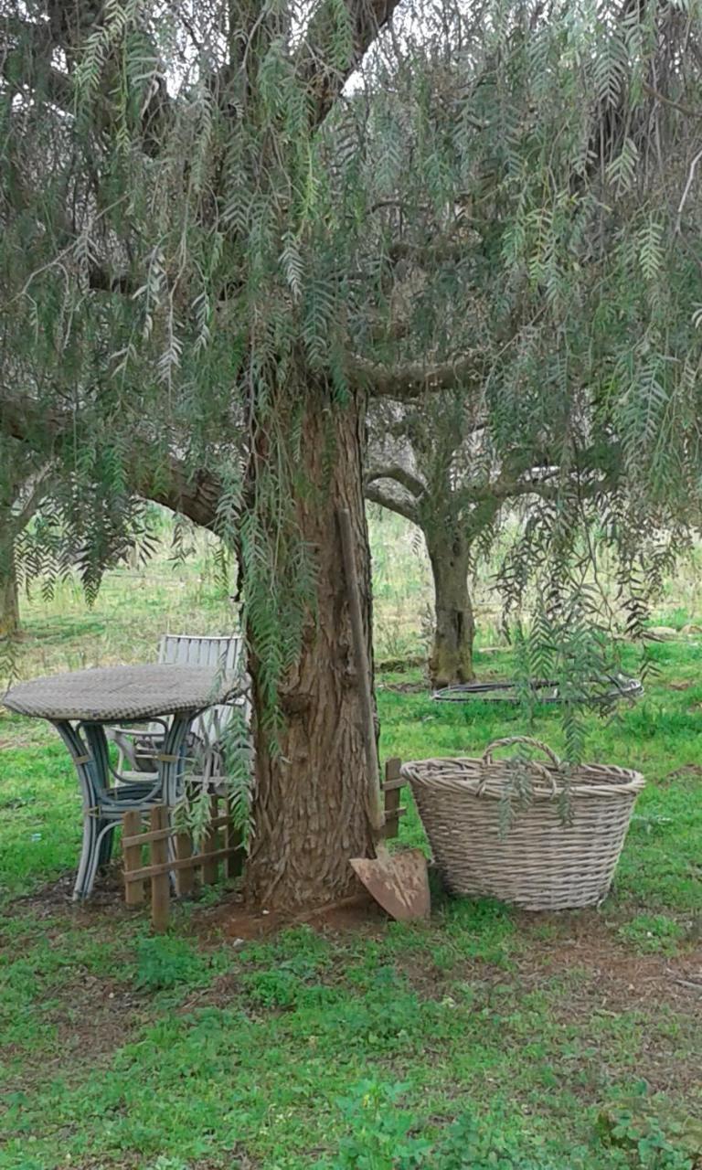 Casa di Campagna 2